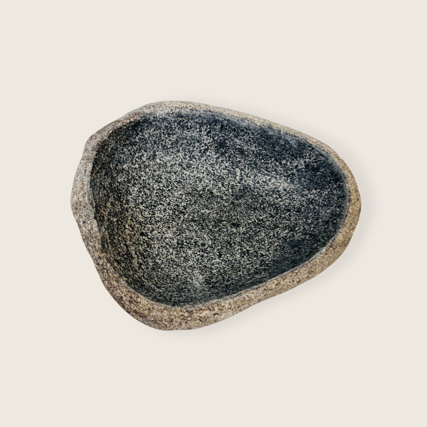 Rivea Fossil Bowl
