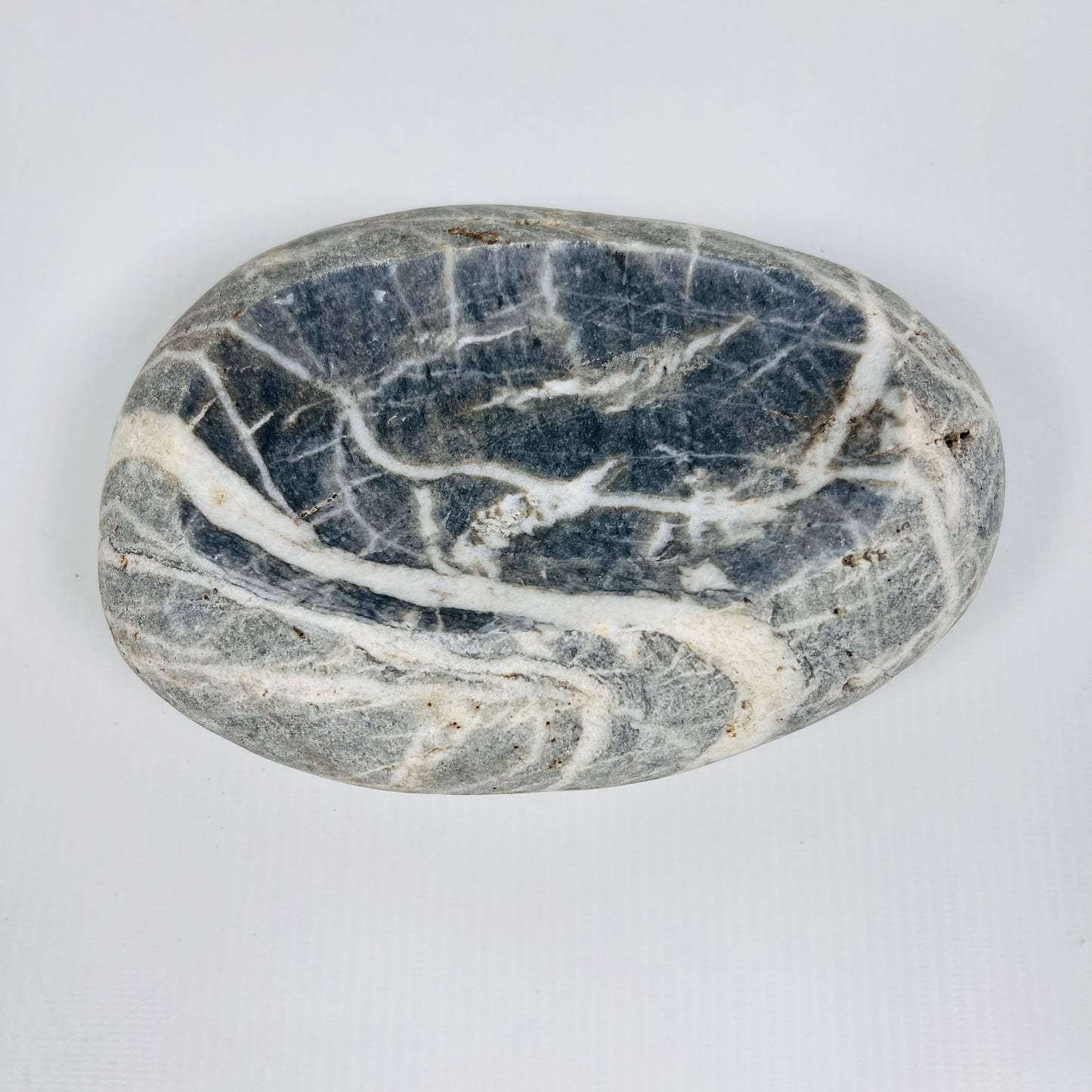 Webbed Soap Dish - Riverstone