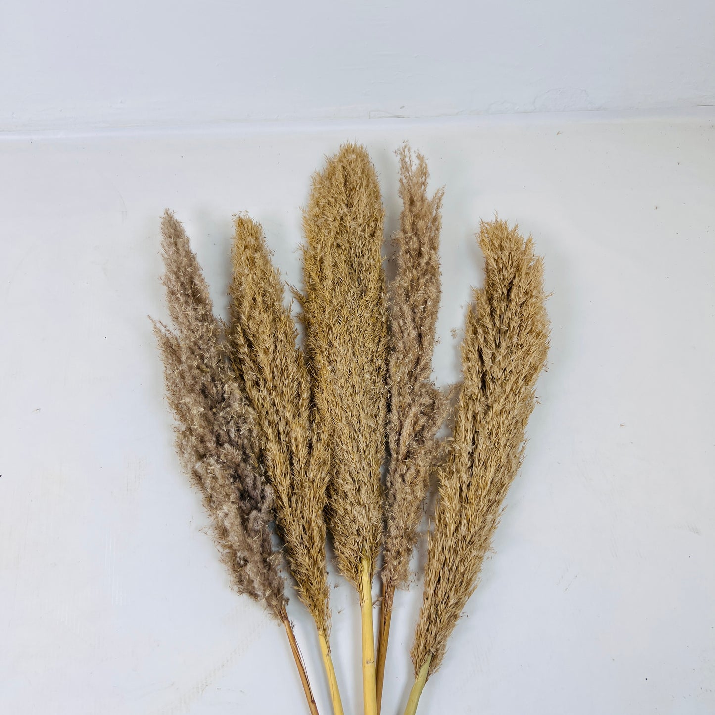 Pampa Grass Decor Item