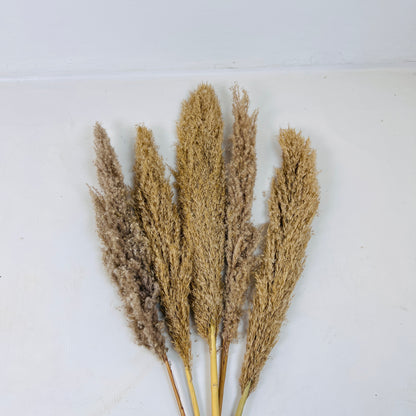 Pampa Grass Decor Item
