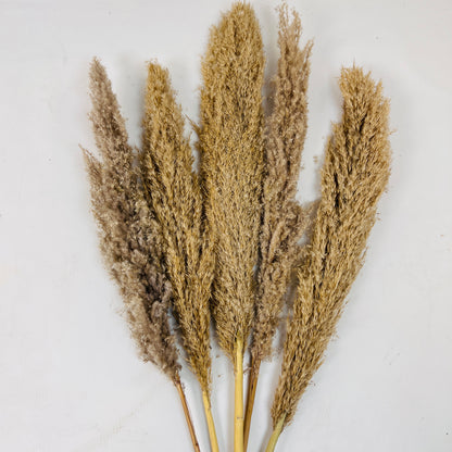 Pampa Grass Decor Item