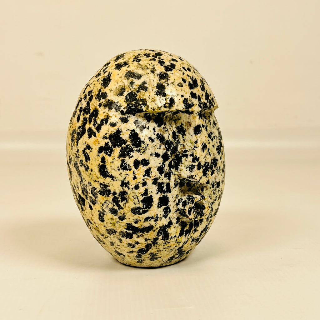 Black Spotted Yellow Head Decor Item