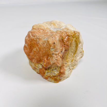 Organic Stone Candle Stand - Travertine