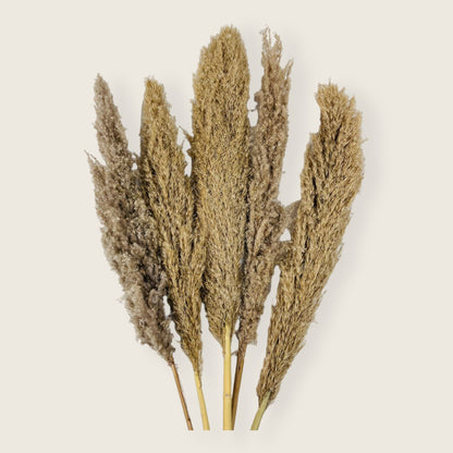 Pampa Grass Decor Item