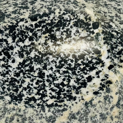 White Dotted Soap Dish - Riverstone