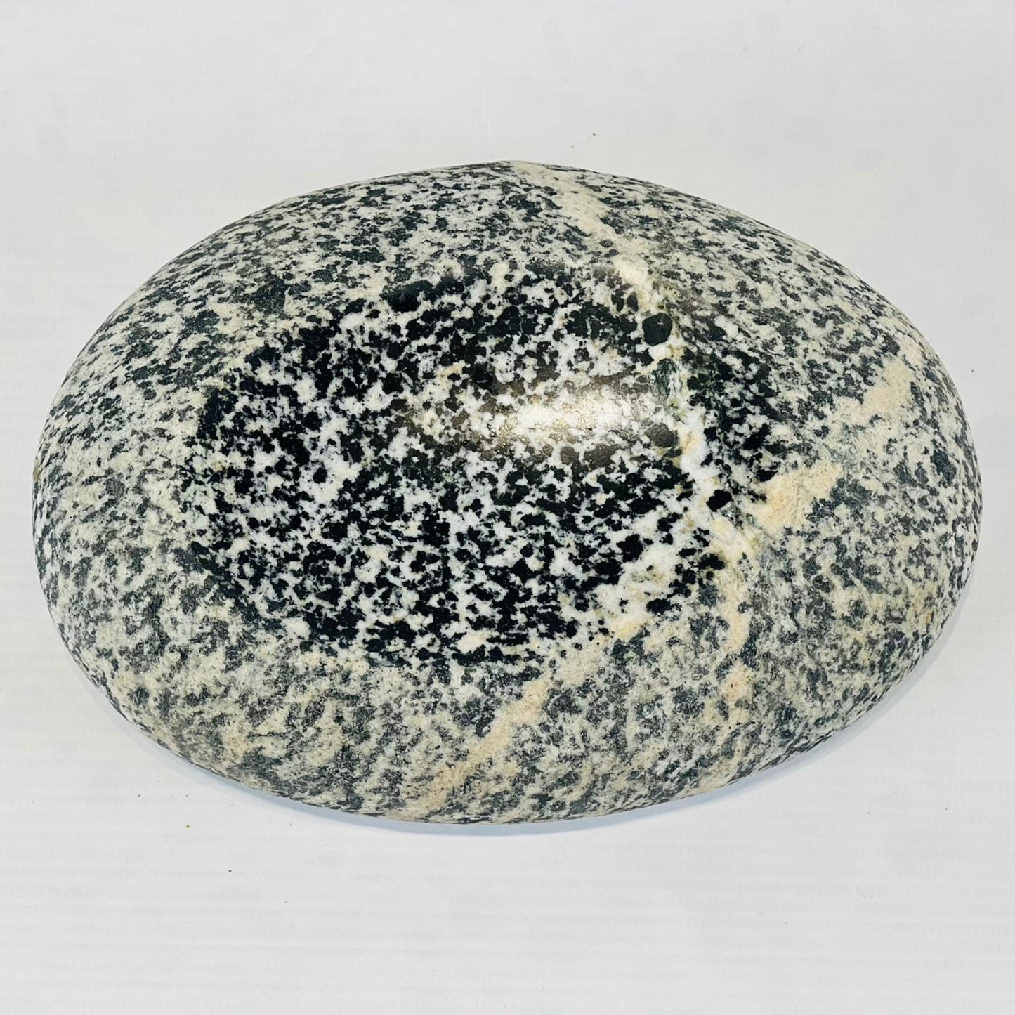 White Dotted Soap Dish - Riverstone
