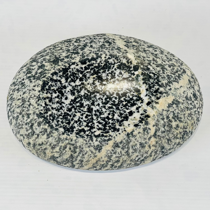 White Dotted Soap Dish - Riverstone