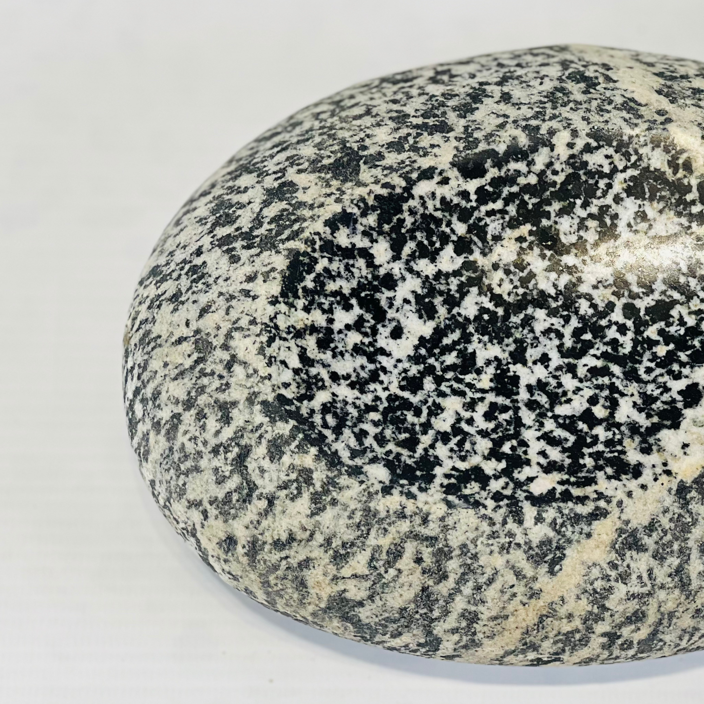 White Dotted Soap Dish - Riverstone