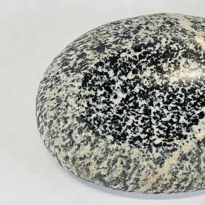 White Dotted Soap Dish - Riverstone