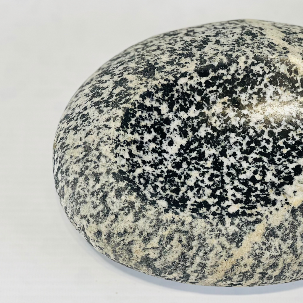 River Stone White Dotted Soap Dish